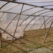 永宏   供應  17目20目30目 螞蚱養殖網  大棚專用網   螞蚱棚網   蝗蟲棚專用網